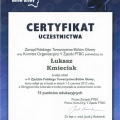 Powiększ obraz: certificate 2
