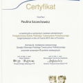 Powiększ obraz: certificate 19