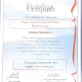 Powiększ obraz: certificate 1