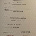 Powiększ obraz: certificate 8