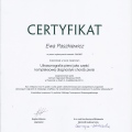 Powiększ obraz: certificate 4