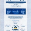 Powiększ obraz: certificate 9