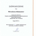 Powiększ obraz: certificate 7