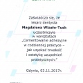 Powiększ obraz: certificate 19
