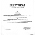 Powiększ obraz: certificate 1