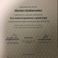 Powiększ obraz: certificate 11