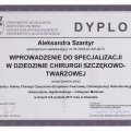 Powiększ obraz: certificate 17