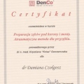Powiększ obraz: certificate 2