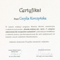 Powiększ obraz: certificate 1