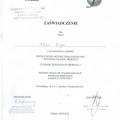 Powiększ obraz: certificate 8