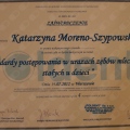 Powiększ obraz: certificate 22