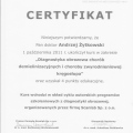 Powiększ obraz: certificate 11