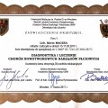 Powiększ obraz: certificate 7