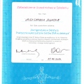 Powiększ obraz: certificate 2