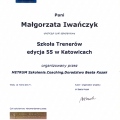 Powiększ obraz: certificate 3