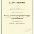 Powiększ obraz: certificate 4