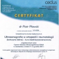 Powiększ obraz: certificate 3