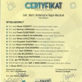 Powiększ obraz: certificate 7
