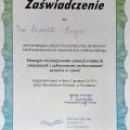 Powiększ obraz: certificate 4