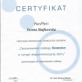 Powiększ obraz: certificate 45