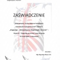 Powiększ obraz: certificate 7