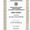 Powiększ obraz: certificate 6