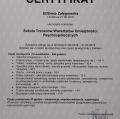Powiększ obraz: certificate 5