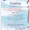 Powiększ obraz: certificate 2