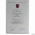 Powiększ obraz: certificate 2