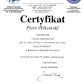Powiększ obraz: certificate 36