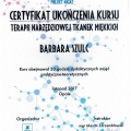 Powiększ obraz: certificate 3