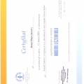 Powiększ obraz: certificate 20