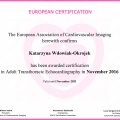 Powiększ obraz: certificate 2