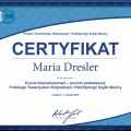 Powiększ obraz: certificate 10