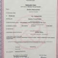Powiększ obraz: certificate 5