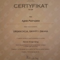 Powiększ obraz: certificate 5