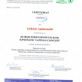 Powiększ obraz: certificate 7