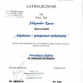 Powiększ obraz: certificate 26