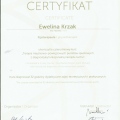 Powiększ obraz: certificate 12