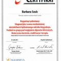Powiększ obraz: certificate 9