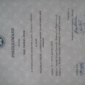 Powiększ obraz: certificate 13
