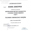 Powiększ obraz: certificate 6