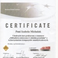 Powiększ obraz: certificate 2