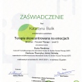 Powiększ obraz: certificate 4