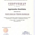 Powiększ obraz: certificate 13