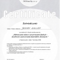 Powiększ obraz: certificate 49