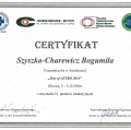 Powiększ obraz: certificate 2