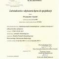 Powiększ obraz: certificate 1