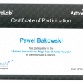 Powiększ obraz: certificate 2
