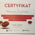 Powiększ obraz: certificate 1